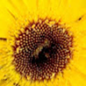 Meet your Posher, Nadia